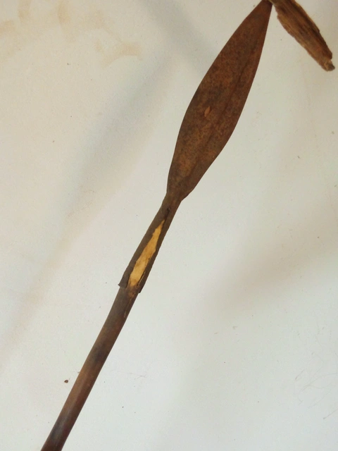 lance traditionnelle